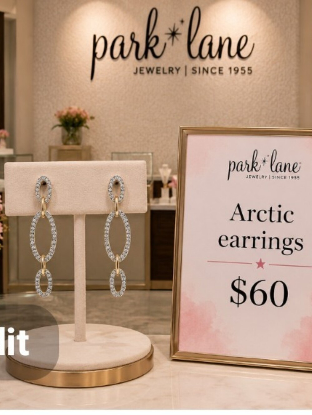 Park Lane Arctic Earrings Sparkle Box Exclusive